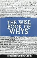 The Wise Book of Whys