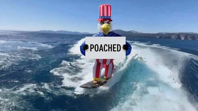 Meta Poaching Spree Hits Apple